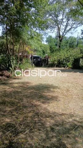 5 terrenos en limpio cod 6413, foto 4