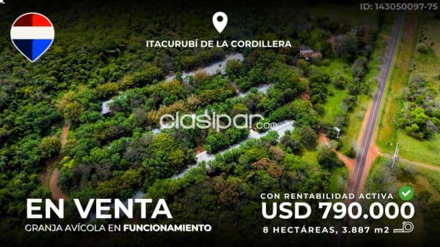 Granja avícola en itacurubí de la cordillera sobre ruta 📌🇳🇱