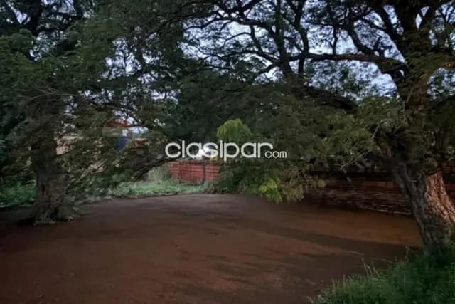 Terreno en Primer Barrio Luque — foto 3