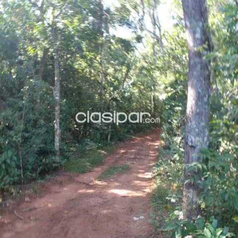 Hermosa propiedad en Piribebuy! — foto 3