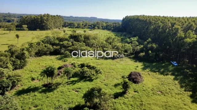 Terreno Rural en Cambyreta costas al Río Paraná - 3 Ha — foto 3