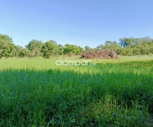 Terreno Rural en Cambyreta costas al Río Paraná - 3 Ha — foto 5