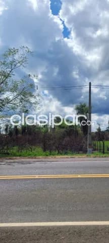 Oferta!! Amplio terreno sobre ruta en venta en itacurubi de la cordillera, foto 5