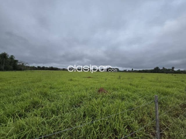 Importante terreno de 5 há en curupayty, arroyos y esteros, foto 1