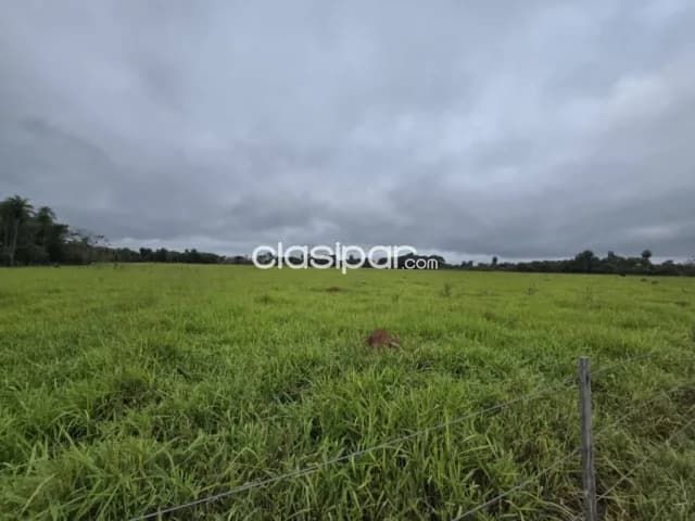 Importante terreno de 5 há en curupayty, arroyos y esteros, foto 2