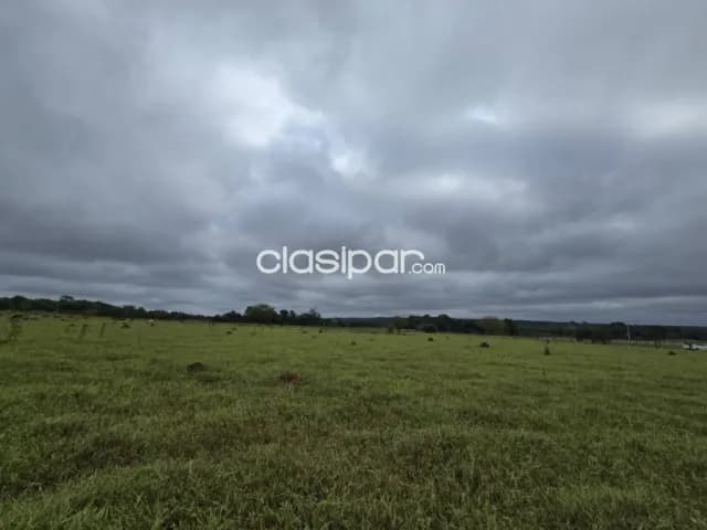 Importante terreno de 5 há en curupayty, arroyos y esteros, foto 5