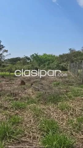 terreno de 12 X 42 en San Juan del Paraná, foto 3