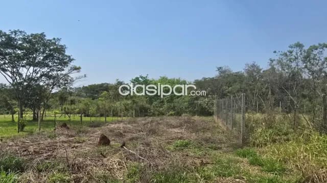 terreno de 12 X 42 en San Juan del Paraná, foto 4