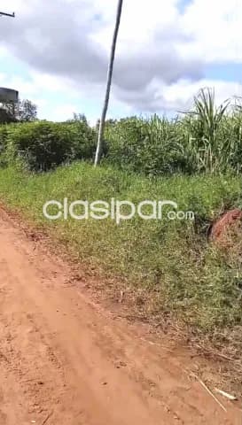 5ha.1/4 campo en arroyos y esteros - zona urundey — foto 2