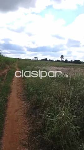 5ha.1/4 campo en arroyos y esteros - zona urundey — foto 5