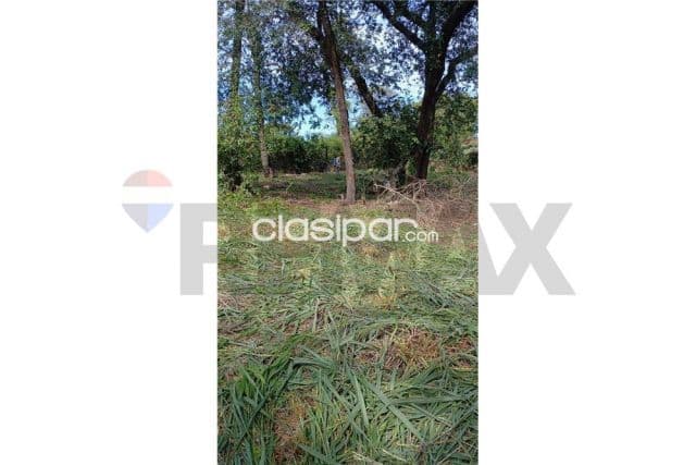 Terreno arbolado en venta con vista al lago en areguá