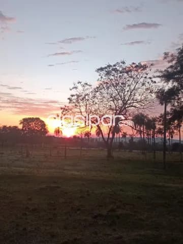 Granja en Piribebuy de 5,1 Hectareas, foto 4