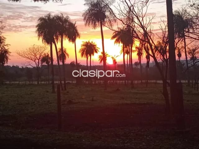 Granja en Piribebuy de 5,1 Hectareas, foto 5