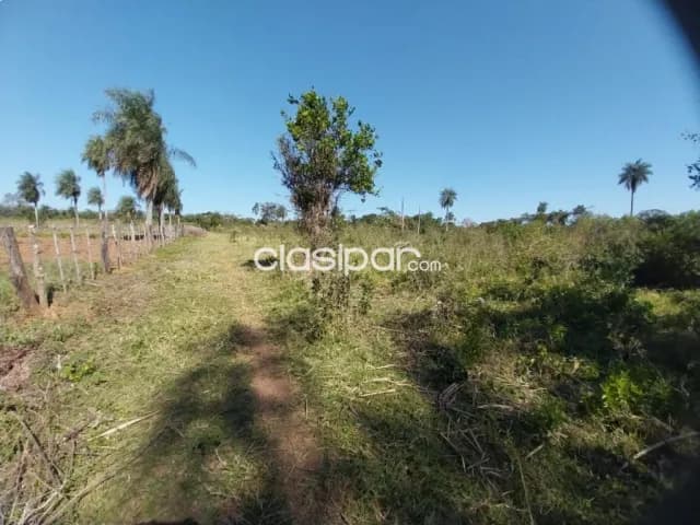 Increíble terreno de 6.4 hectáreas en 1ro de marzo, foto 3
