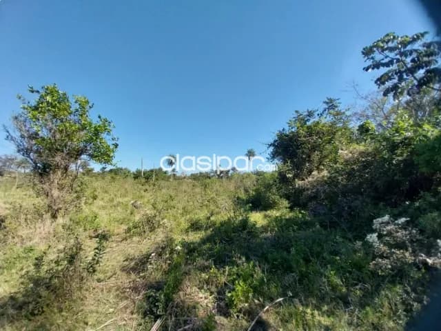 Increíble terreno de 6.4 hectáreas en 1ro de marzo, foto 4