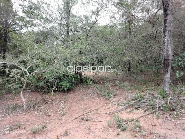 🌳 terreno en venta – nueva colombia cod 6879, foto 1