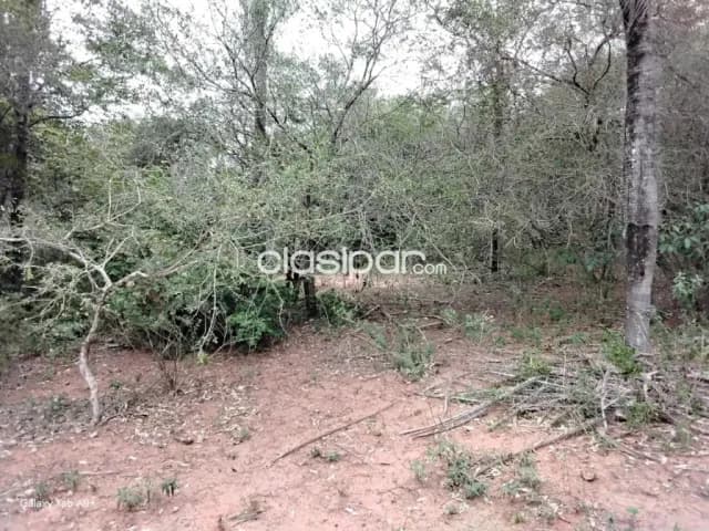 🌳 terreno en venta – nueva colombia cod 6879, foto 2