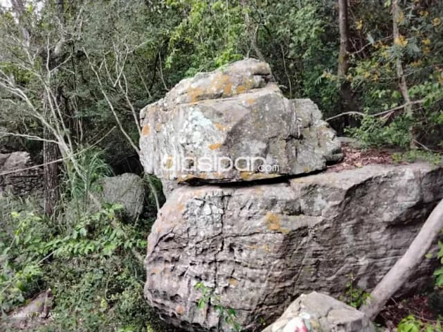 🌳 terreno en venta – nueva colombia cod 6879, foto 3