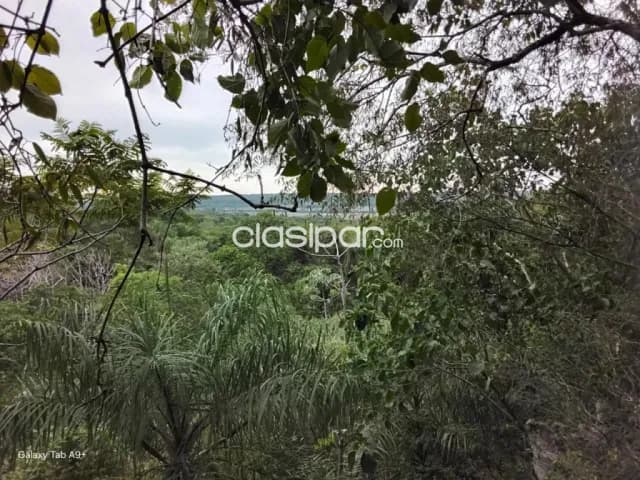 🌳 terreno en venta – nueva colombia cod 6879, foto 5