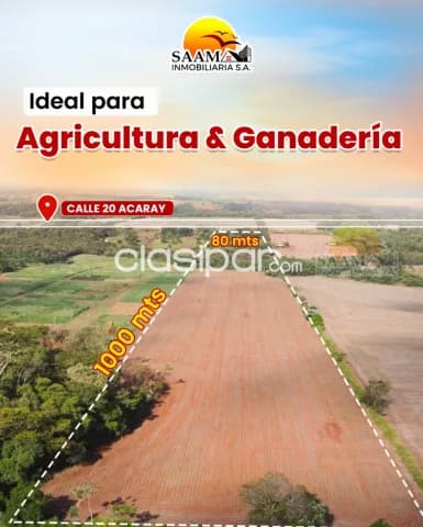 8 hectáreas en venta en km 20 acaray minga guazú, foto 3