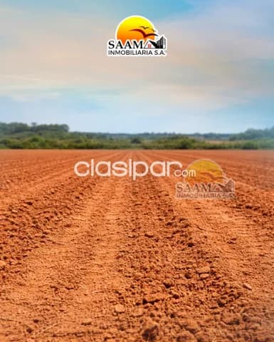 8 hectáreas en venta en km 20 acaray minga guazú, foto 4