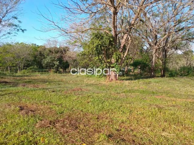 terenos en Hohenau — foto 5