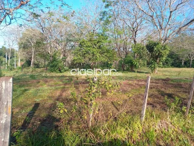 Tereno en Hohenau Avd. de los Fundadores, Hohenau 2 con 1516m2 — foto 5