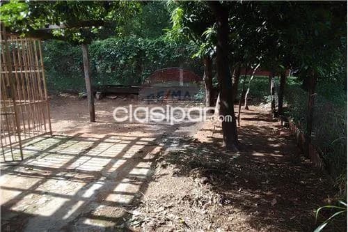 Terreno zona hospital del corazon lambare, foto 2