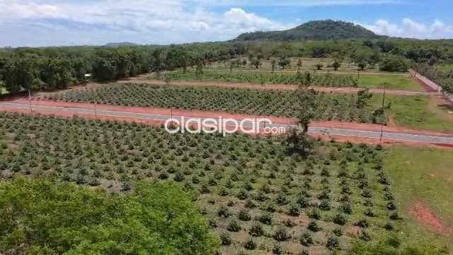 🌿🏡 ¡tu terreno propio en yaguarón desde solo gs. 800.000 por cuota! 🏡🌿, foto 3