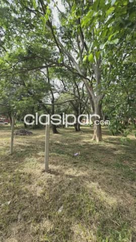 Terrenos, 2.850 m2 Sobre la Avda. Perón - LLA8171936, foto 2
