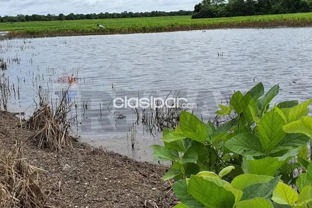 🌎 estancia productiva de gran escala en el chaco paraguayo, foto 4