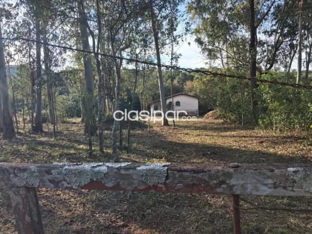 Terreno con arroyo en venta – Piribebuy — foto 4