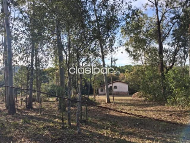 Terreno con arroyo en venta – Piribebuy — foto 5