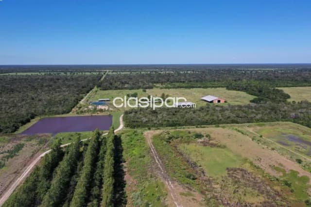 Estancia productiva en bahia negra alto paraguay chaco, foto 2