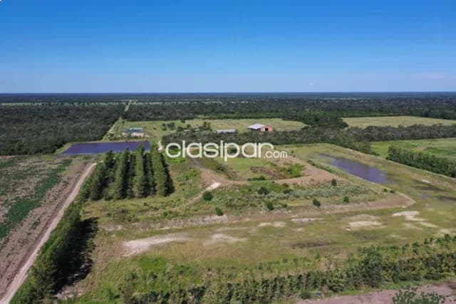 Estancia productiva en bahia negra alto paraguay chaco, foto 3