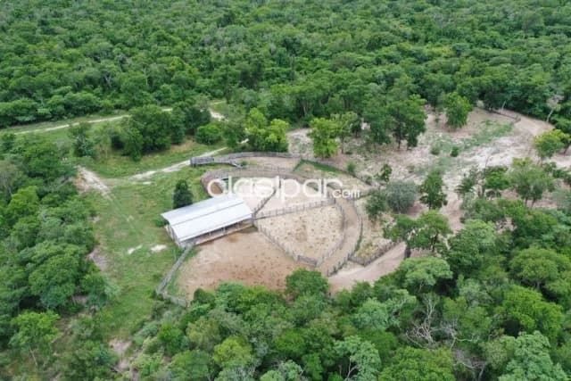 Estancia productiva en bahia negra alto paraguay chaco, foto 4