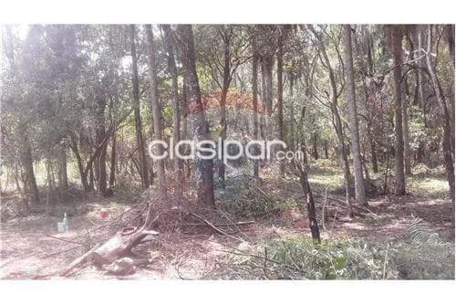 Amplio Terreno en San Bernardino, foto 2