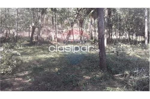 Amplio Terreno en San Bernardino, foto 3