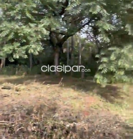 Terreno en Luque zárate isla