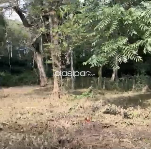 Terreno en Luque zárate isla, foto 3