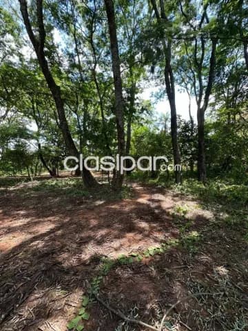 Us$ 1.300.000 vendo imponente terreno en fdo. De la mora-z. Sur, foto 2