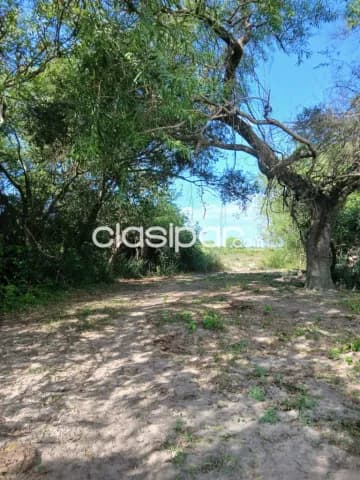 En venta quinta productiva en Mayor Martinez, foto 5