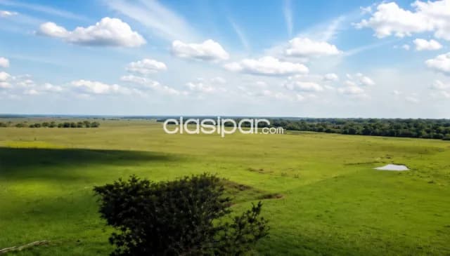 Estancia en caapucu paraguari — foto 3
