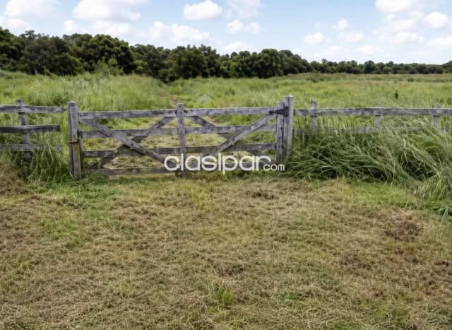 Estancia en caapucu paraguari — foto 5
