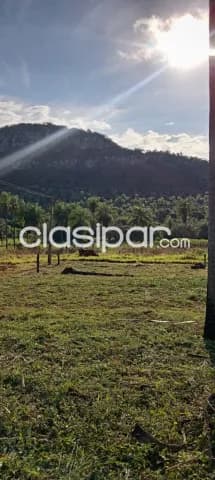 Terreno en venta, foto 5