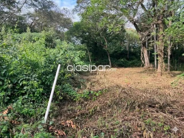 Atención inversionistas y constructores! . En venta terreno de 770 m2 en Zarate Isla — foto 3