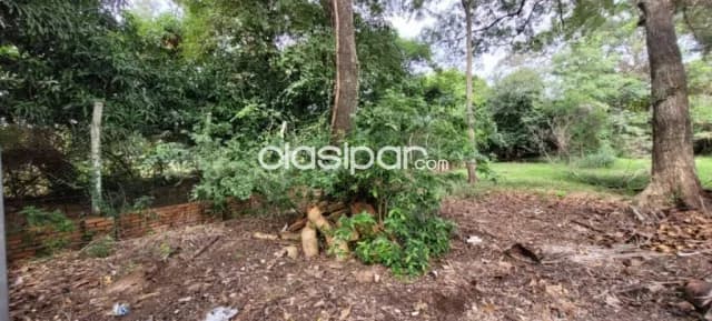 Terreno en aregua-estanzuela — foto 5