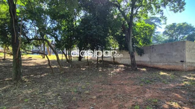 Terreno de 380 m2 en altos del golf – zona yacht Lambaré cod v0349 — foto 4