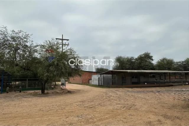 Terreno en filadelfia barrio amistad — foto 2