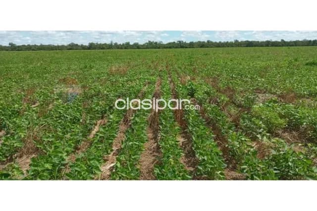 Urgente estancia productiva 20.057 hectareas-agua dulce-bahia negra-alto paraguay, foto 2